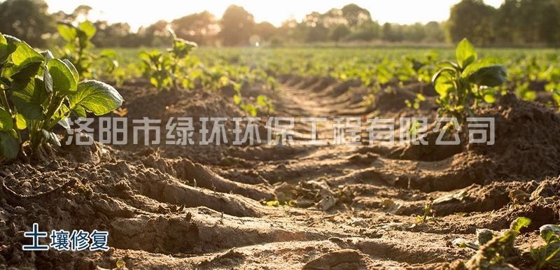 泥土修复与治理